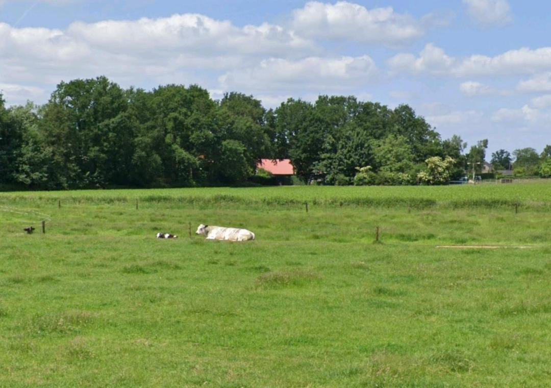 Bed & Breakfast Boekel Exterior foto