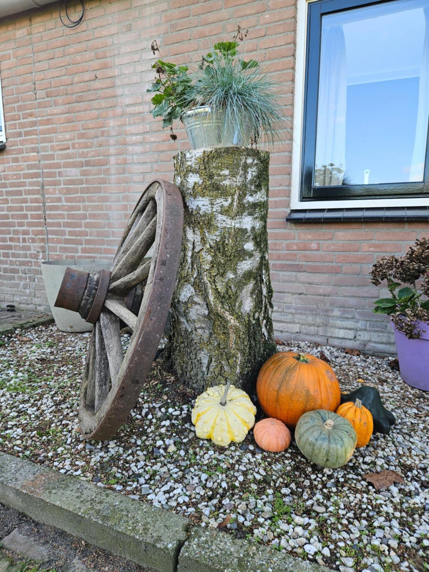 Bed & Breakfast Boekel Exterior foto